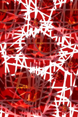 时尚印花华亿平台图片