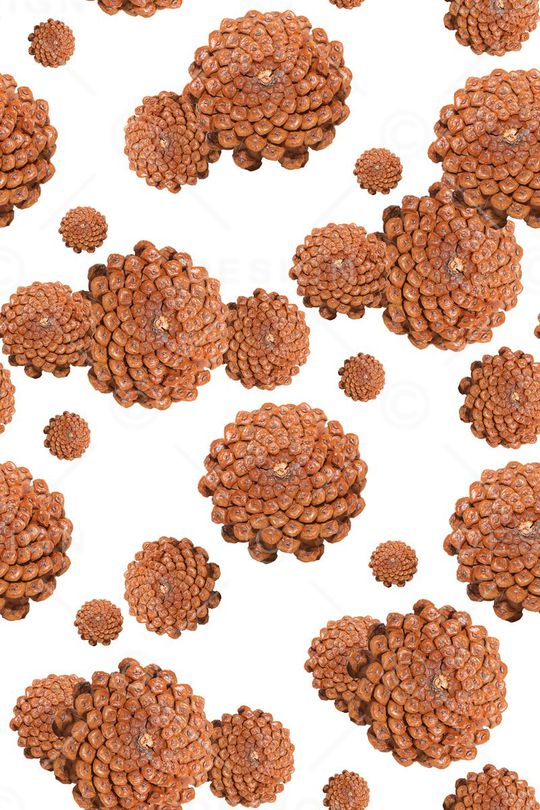 深海夜光印花华亿平台图片