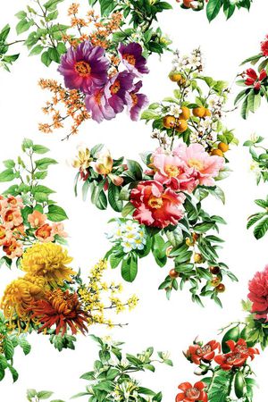 茶花印花华亿平台图片