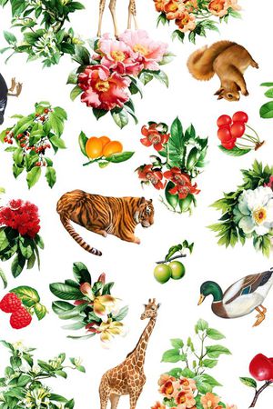 动物印花华亿平台图片