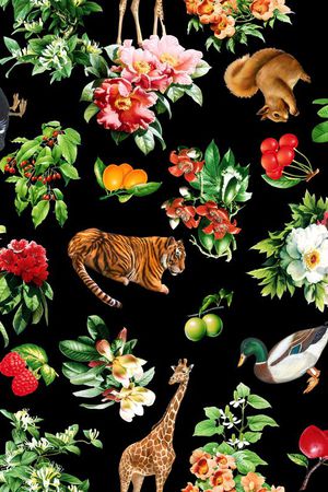 时尚流行印花华亿平台图片