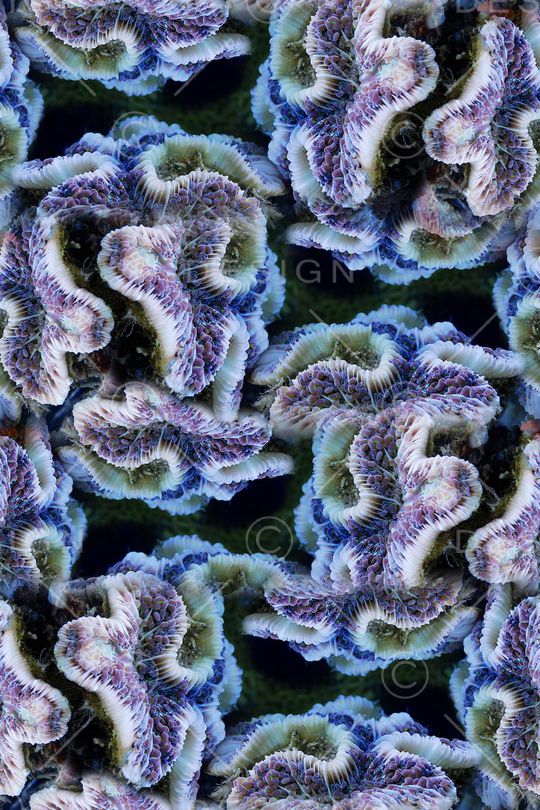 深海夜光印花华亿平台图片