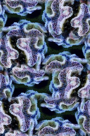 深海夜光印花华亿平台图片