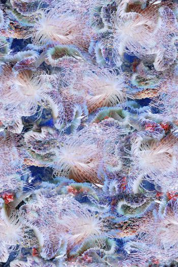 391848-深海夜光-生物 01-配色无分层