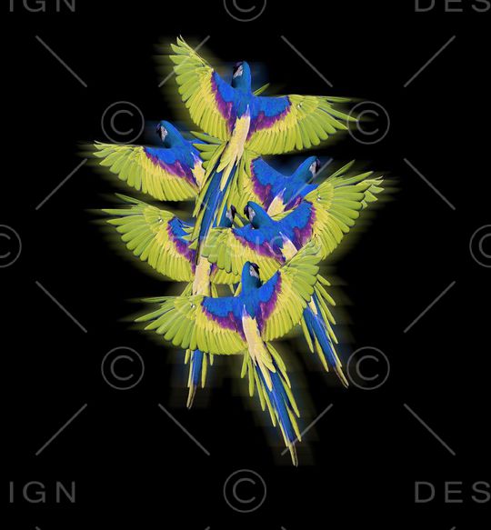 流行时尚印花华亿平台图片