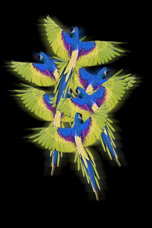 流行时尚印花华亿平台图片