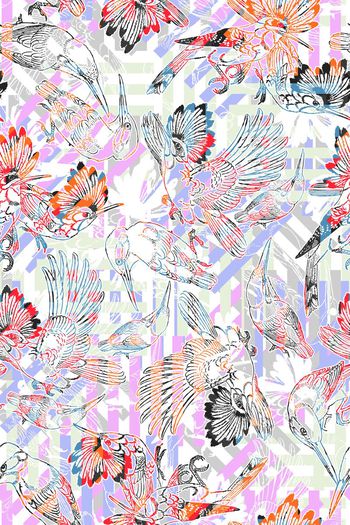 391931-多彩鸟几何组合