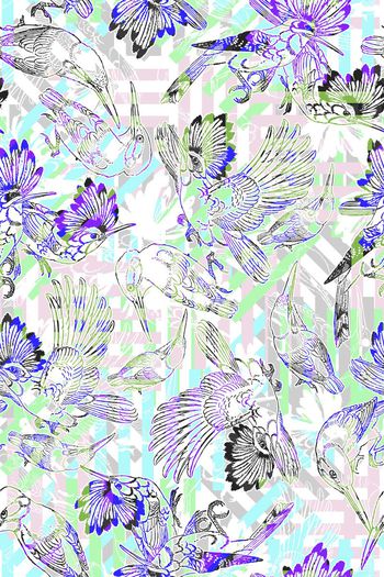 391933-多彩鸟几何组合