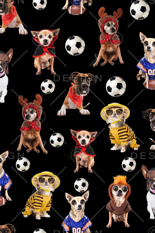 可爱印花华亿平台图片