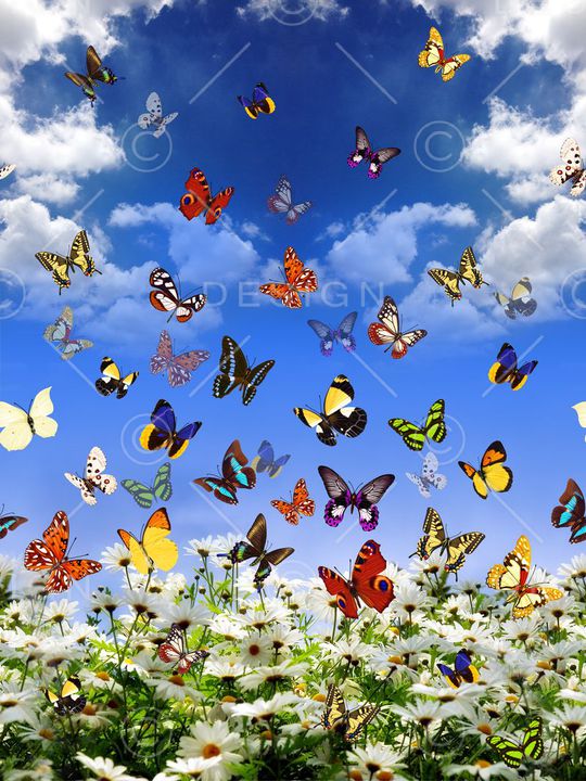 清新女装印花华亿平台图片