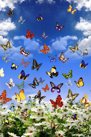 清新女装印花华亿平台图片