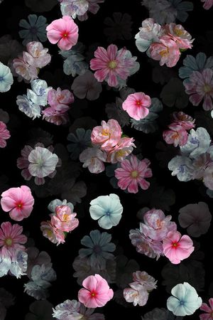 黑底碎花花卉组合印花华亿平台图片