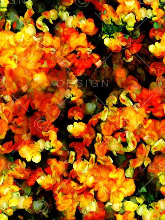 休闲印花华亿平台图片