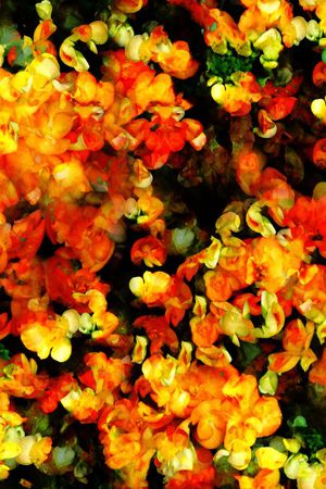 休闲印花华亿平台图片