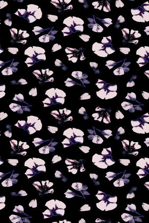 黑底印花华亿平台图片