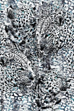 冬装印花华亿平台图片