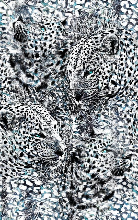 冬装印花华亿平台图片