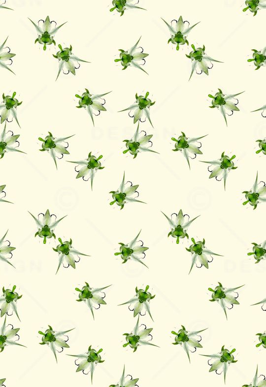 休闲印花华亿平台图片