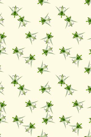 休闲印花华亿平台图片