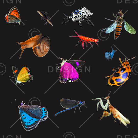 动物印花华亿平台图片