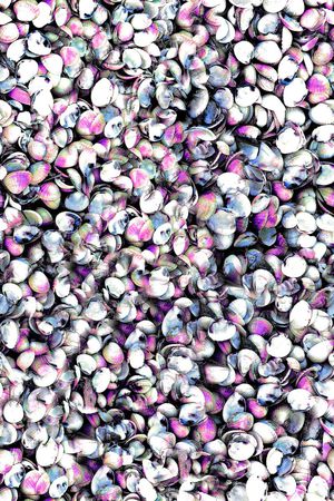 贝壳印花华亿平台图片