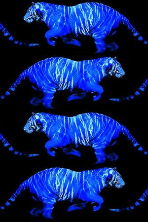 华亿平台印花华亿平台图片