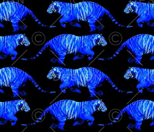 华亿平台印花华亿平台图片