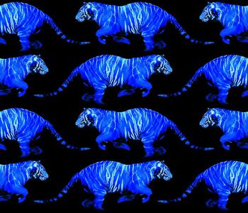 华亿平台印花华亿平台图片