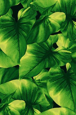 300dpi印花华亿平台图片