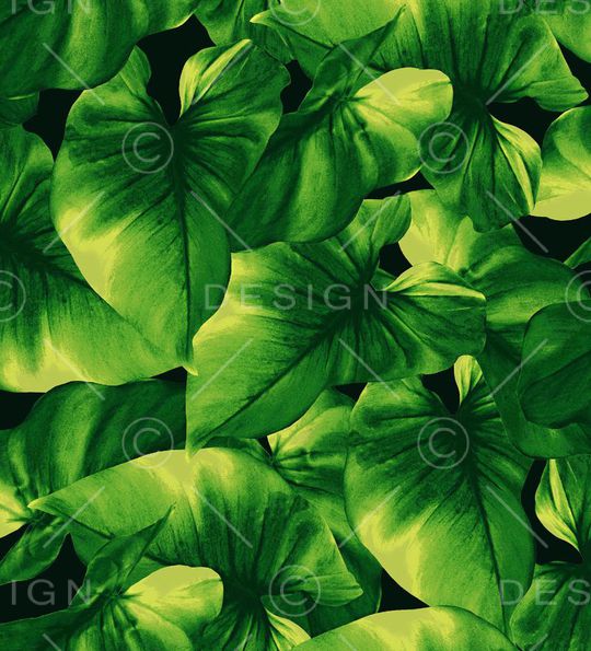 300dpi印花华亿平台图片