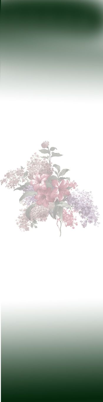 393220-黑白渐变底色，复古大花卉，红色百合