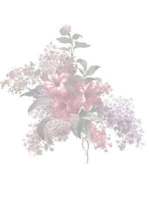 复古印花华亿平台图片