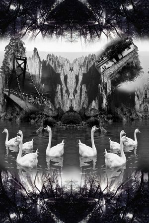 鹅印花华亿平台图片