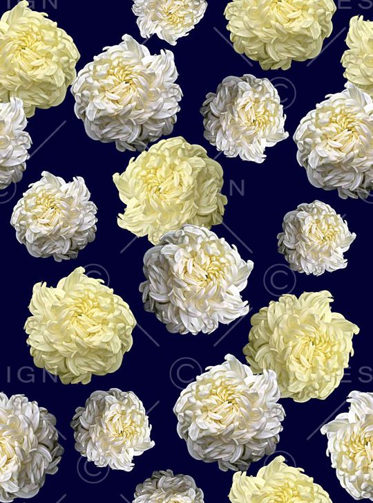 菊花印花华亿平台图片