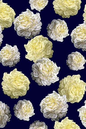 菊花印花华亿平台图片