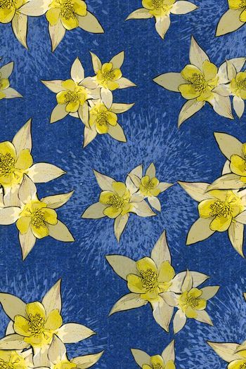 393334-天艺 / 花卉