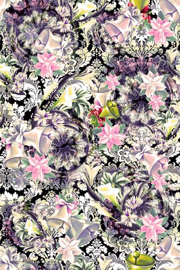 393422-旋风铃铛花