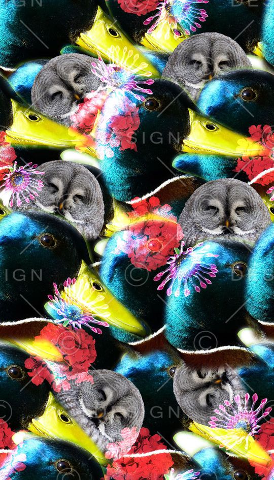 动物印花华亿平台图片