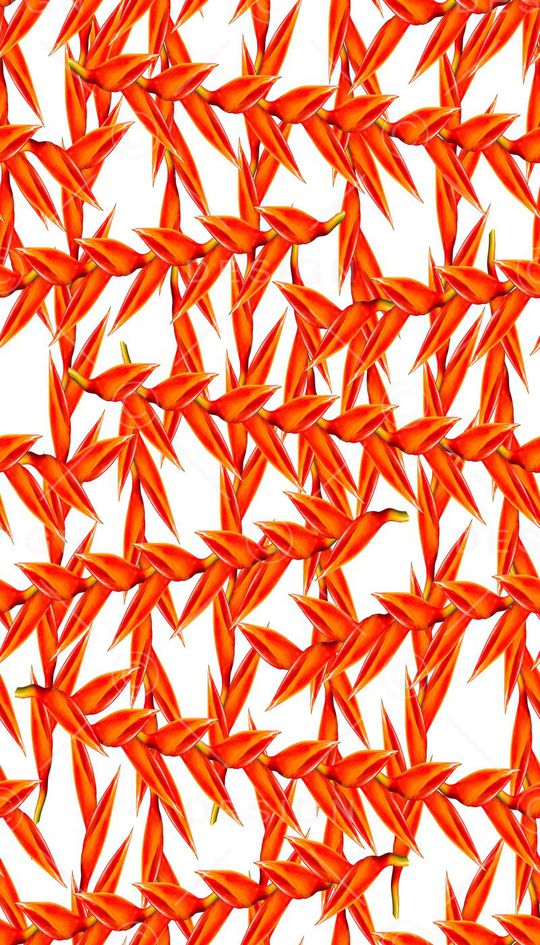 花印花华亿平台图片