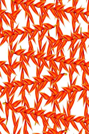 花印花华亿平台图片