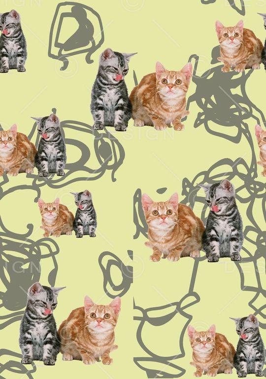 动物印花华亿平台图片