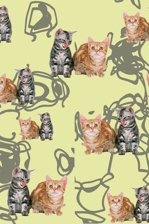 动物印花华亿平台图片