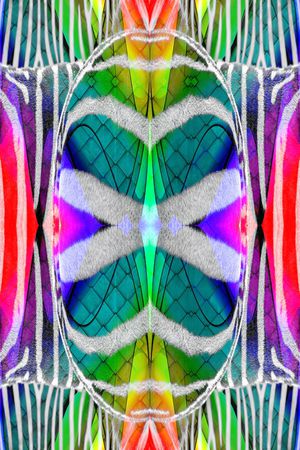 动物皮毛印花华亿平台图片