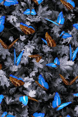 休闲印花华亿平台图片