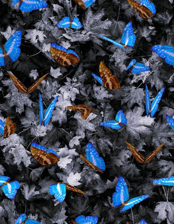 393676-蝴蝶枫叶的组合