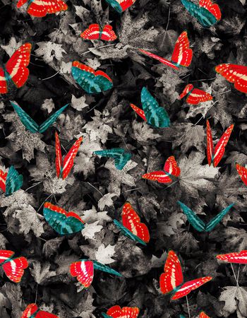 393678-蝴蝶枫叶的组合