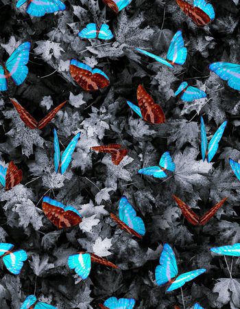 393679-蝴蝶枫叶的组合