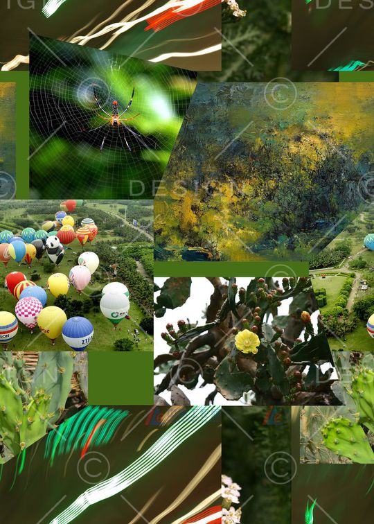 潮流印花华亿平台图片