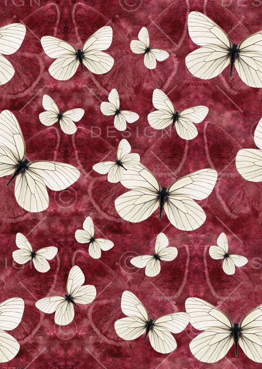 动物印花华亿平台图片