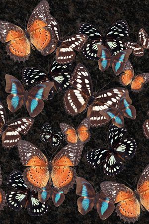 动物印花华亿平台图片